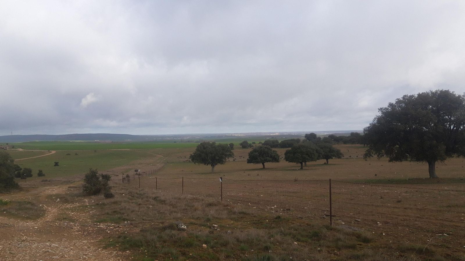 La mayor parte del paisaje que nos aguarda es una extensa llanura. Veremos a lo lejos las poblaciones próximas.