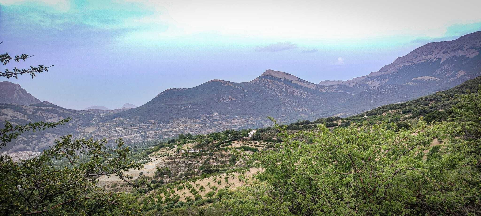 Las Cabañas Imagina se ubican a pocos kilómetros de Torres, en Sierra Mágina.
