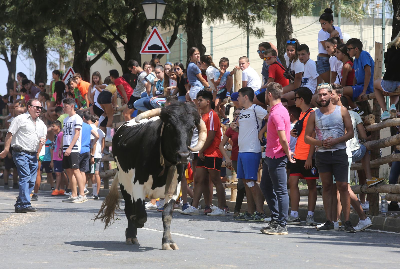 Capeas de Trigueros en imágenes