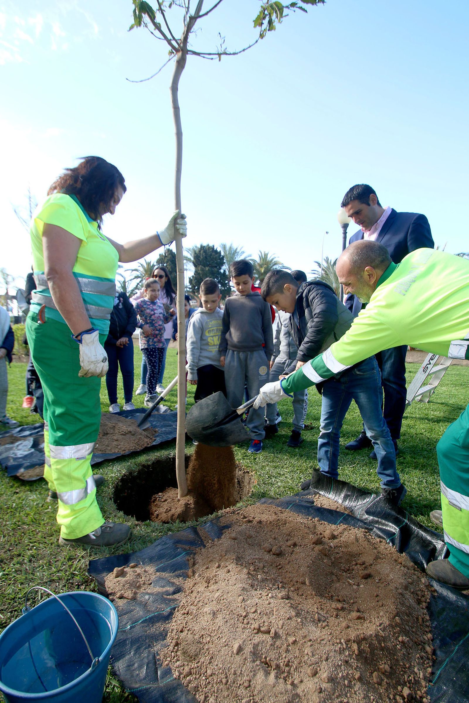 Imágenes del Día Mundial del Árbol