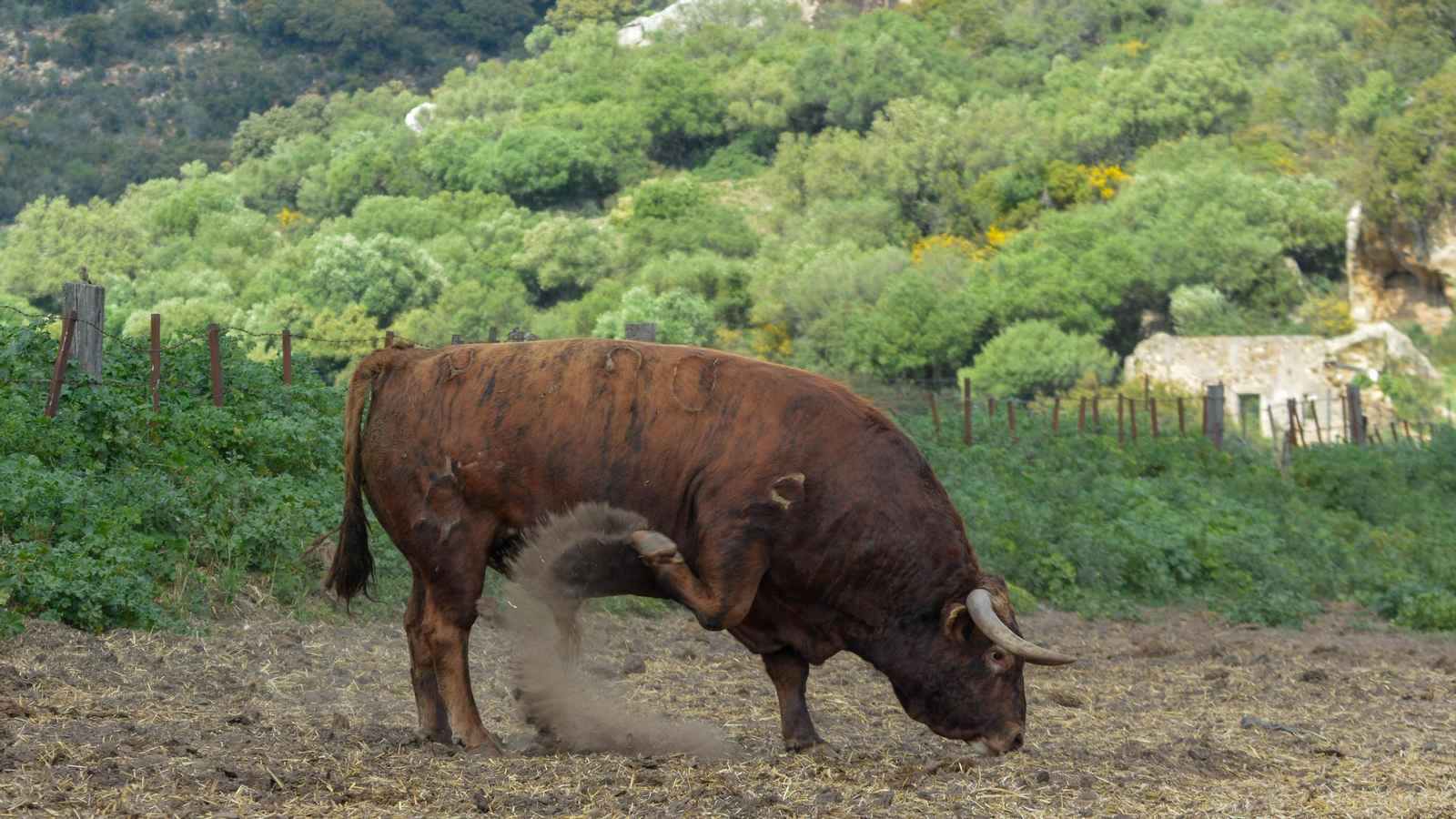 Finca La Palmosilla y la entrevista a Javier Nuñez