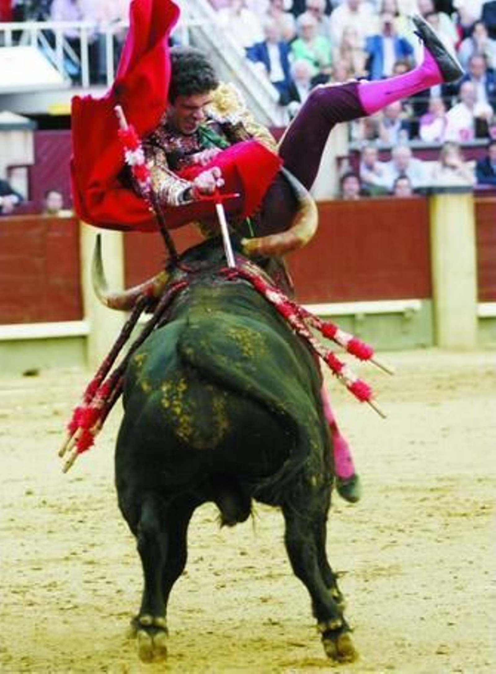José Tomás se jugó la vida de manera total al entrar a matar.