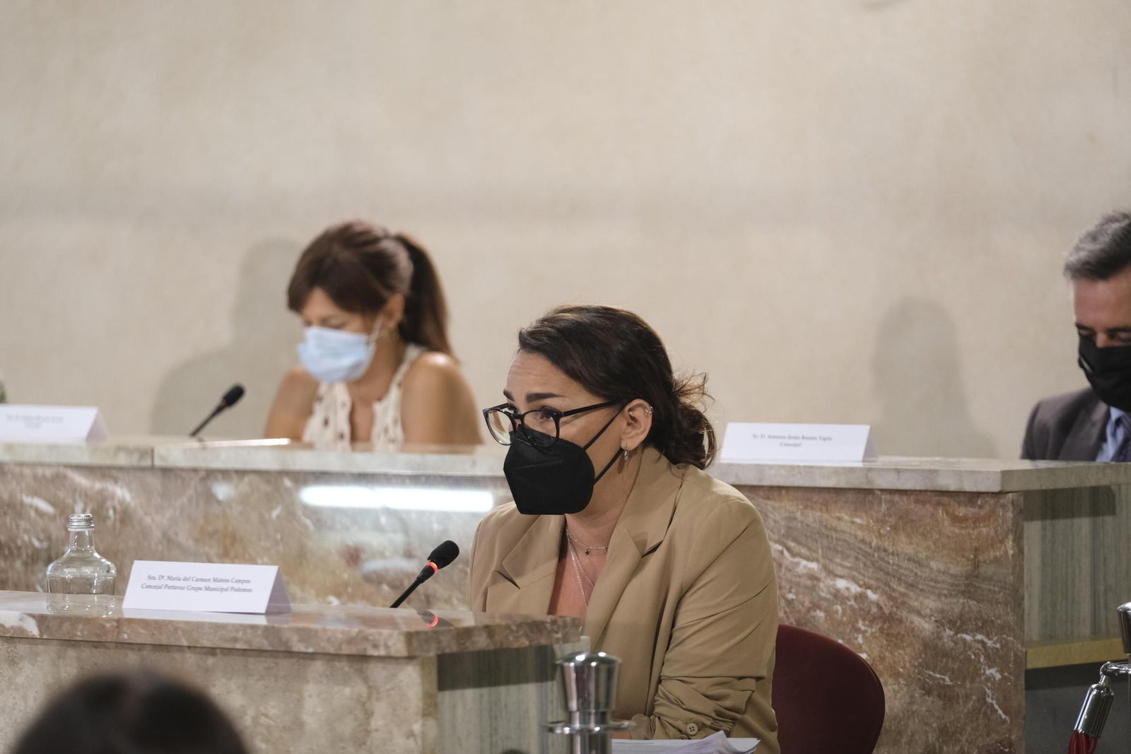 Carmen Mateos, en una intervención plenaria