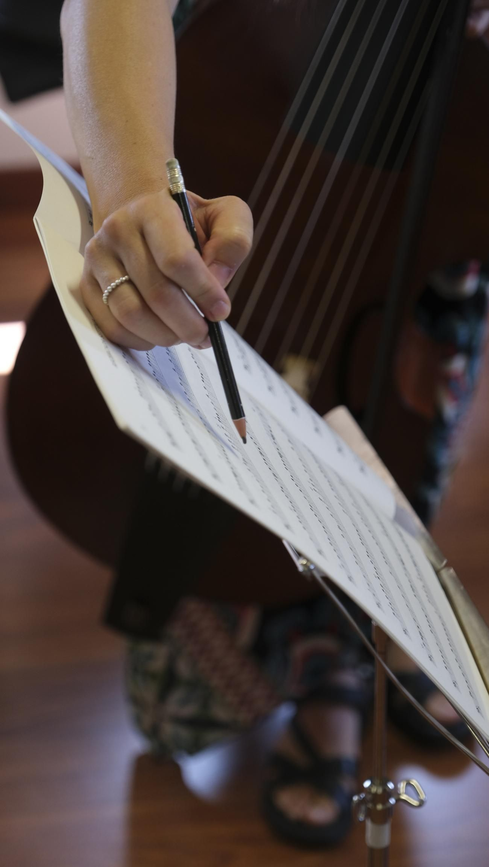 El curso de viola da gamba del Festival de Vélez Blanco, en imágenes