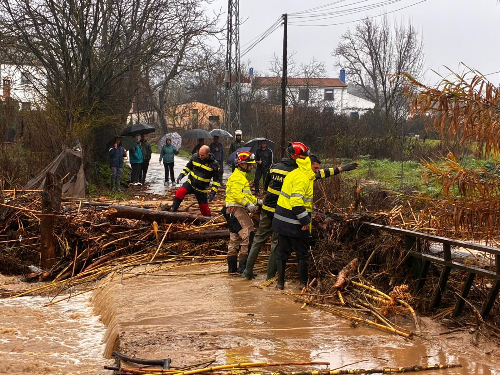La UME ya trabaja en la Serranía de Ronda para despejar caminos