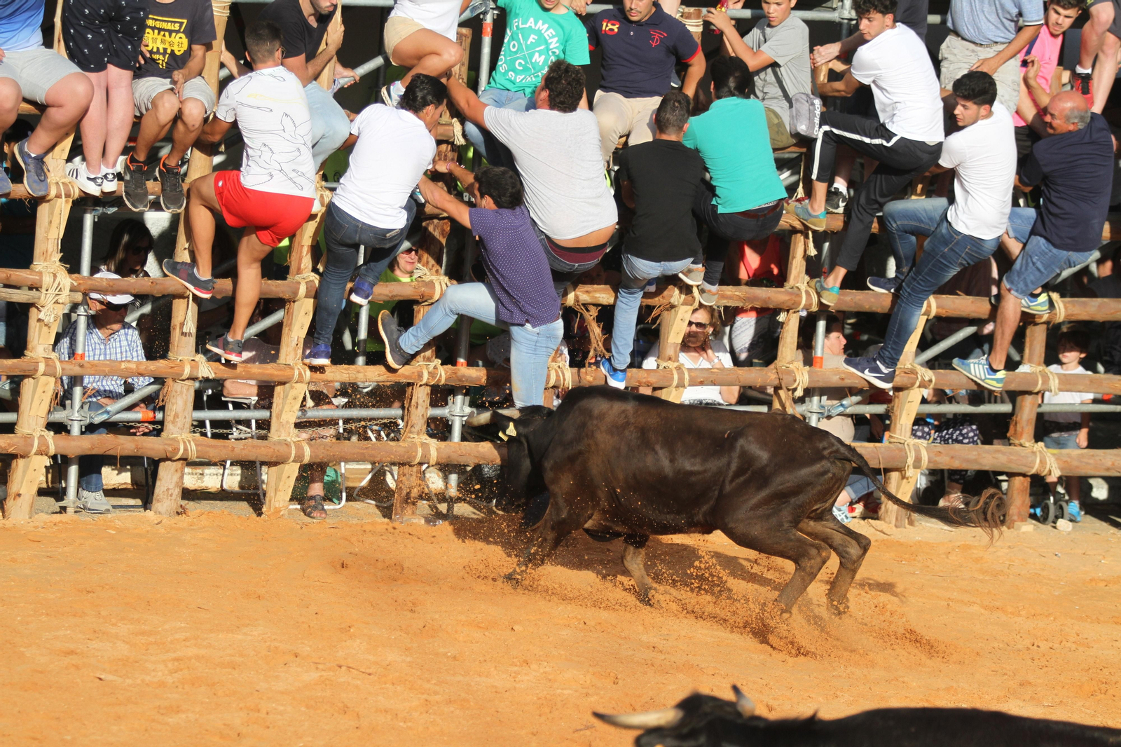 Comienzan las capeas en San Juan del Puerto