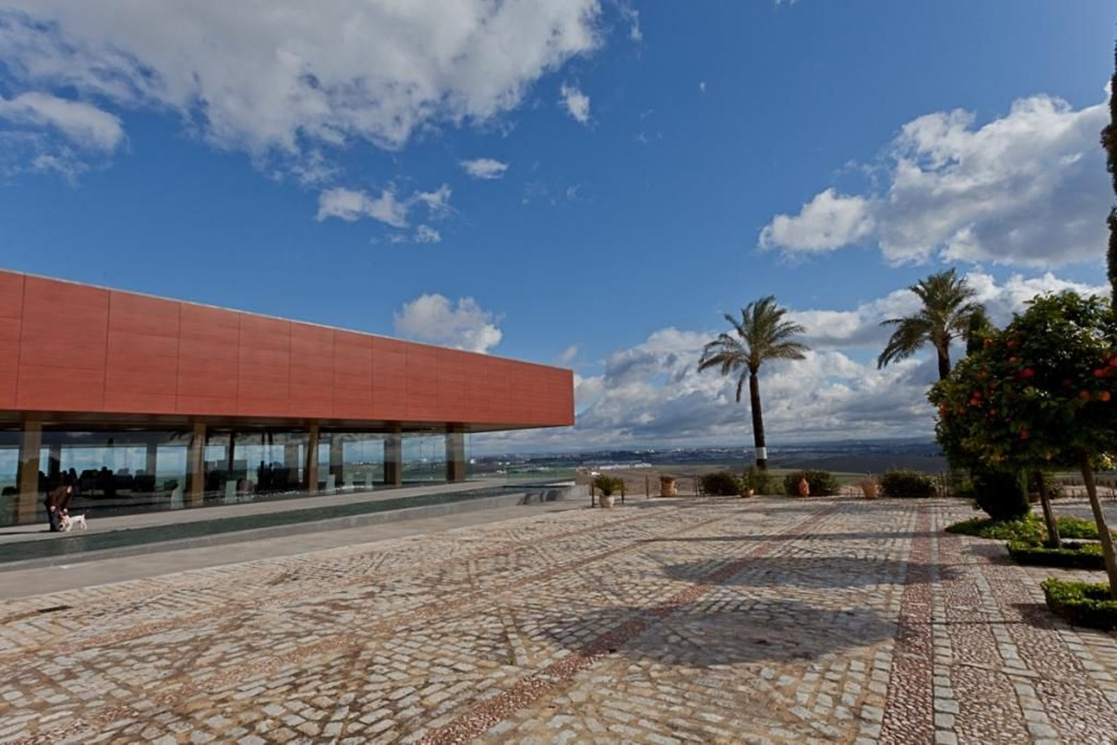 Una panorámica de las bodegas Luis Pérez, con el ‘sky line’ de Jerez al fondo, que es uno de los lugares elegidos. Una panorámica de las bodegas Luis Pérez, con el ‘sky line’ de Jerez al fondo, que es uno de los lugares elegidos.