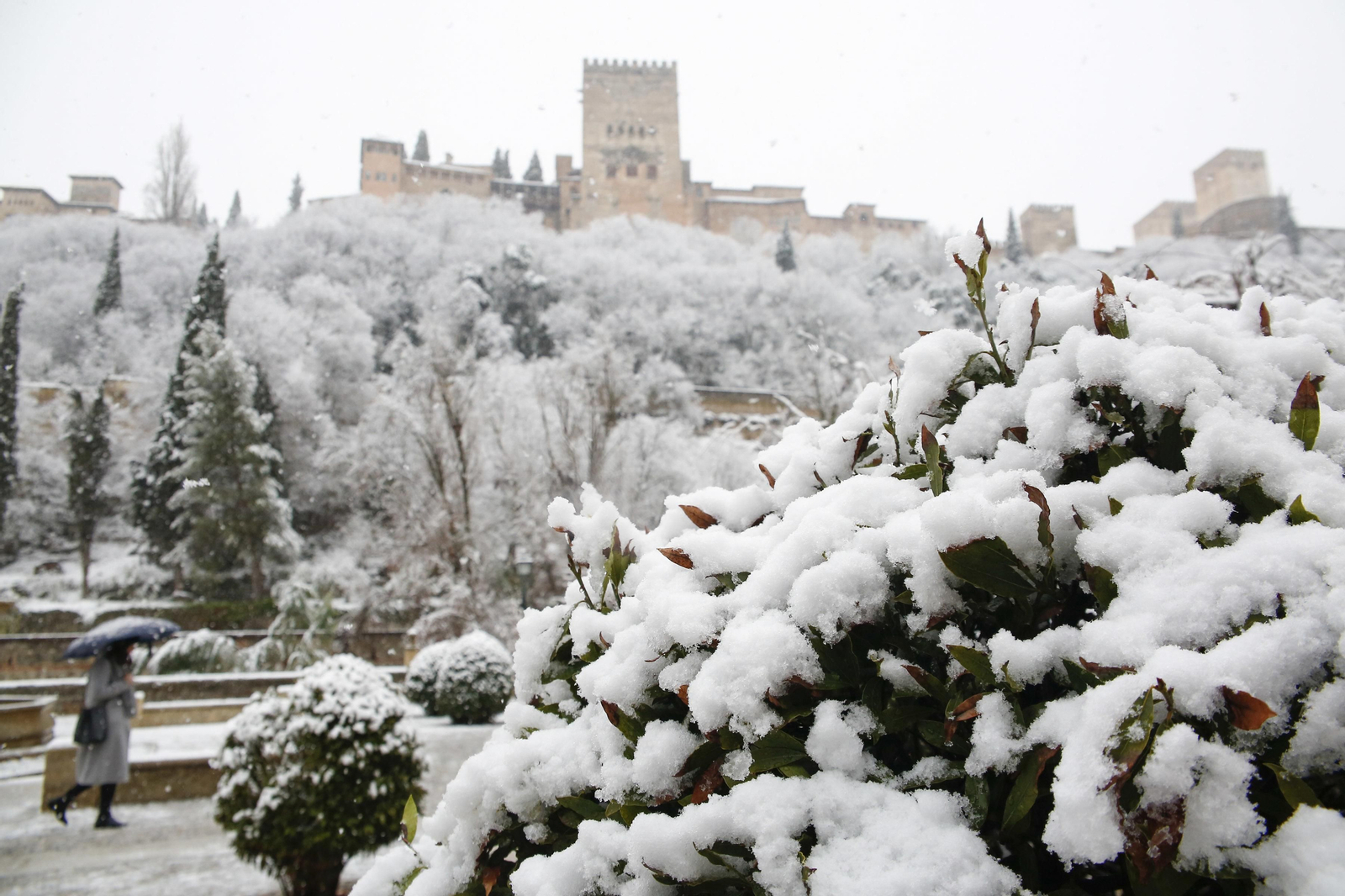 La nevada de Granada, en imágenes
