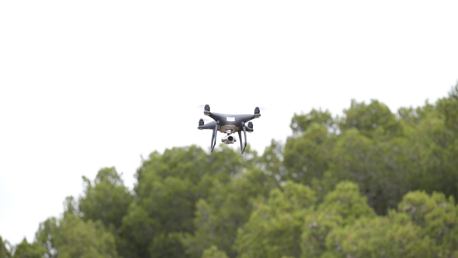 Fotogalería simulacro incendio forestal. Parque periurbano de Castala. Berja (Almería)
