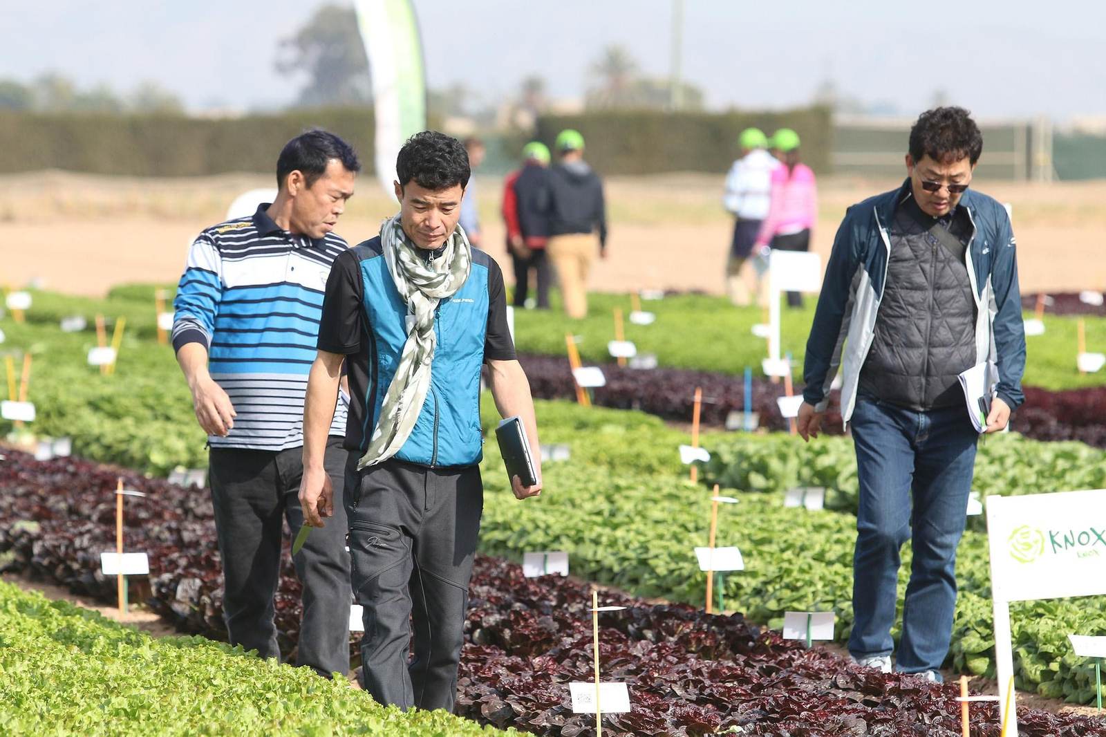 Fotogalería de las jornadas de puertas abiertas de Rijk Zwaan en Cartagena