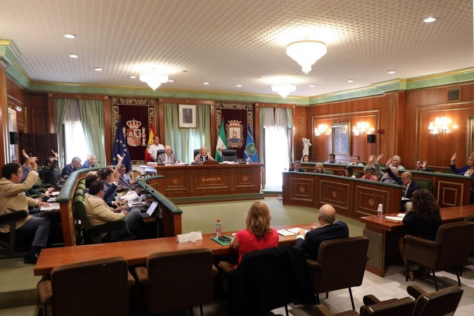 Un Pleno de la Corporación municipal de Marbella.