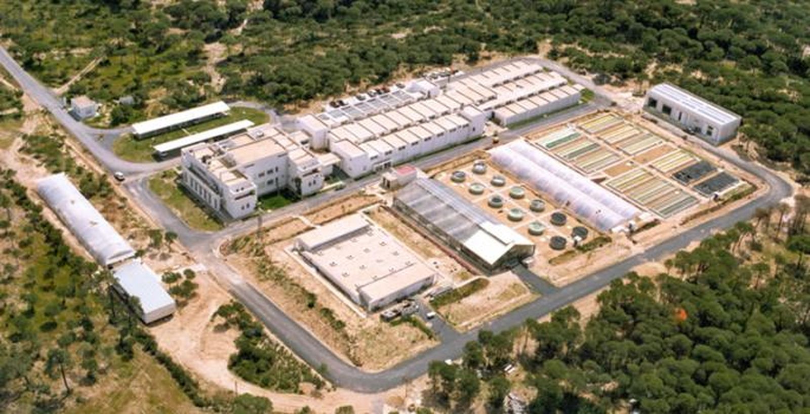 Plano del centro Ifapa de Aguas del Pino en Cartaya.