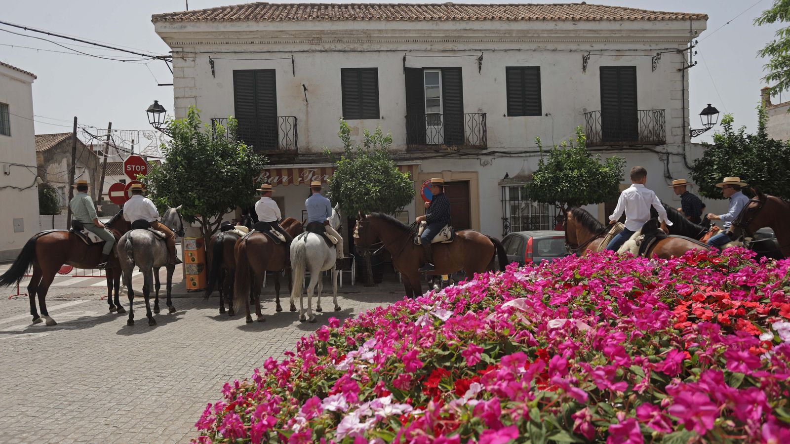 Fotos del sábado de Feria en San Roque