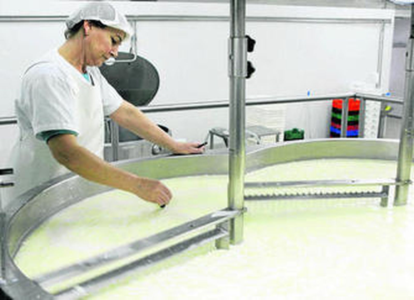 La lira da el punto justo de consistencia al queso después del proceso de 'cuajado'.