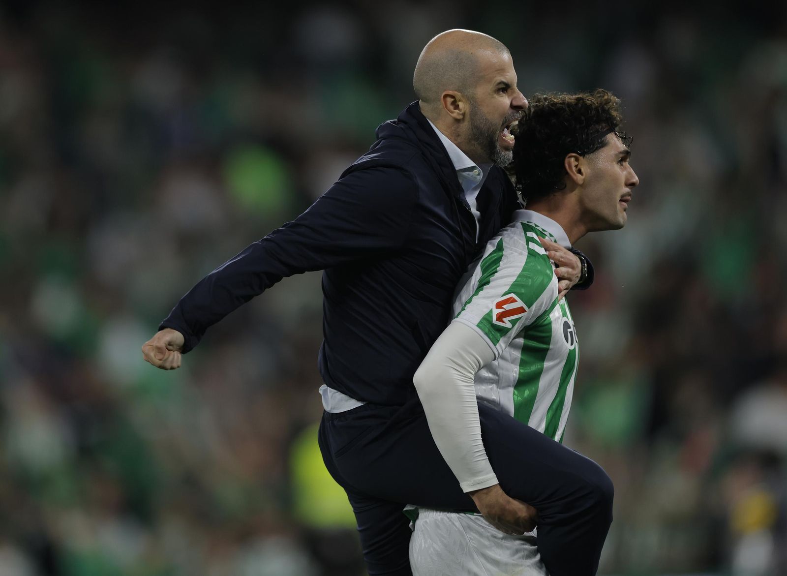 Las fotos del Betis - Sevilla