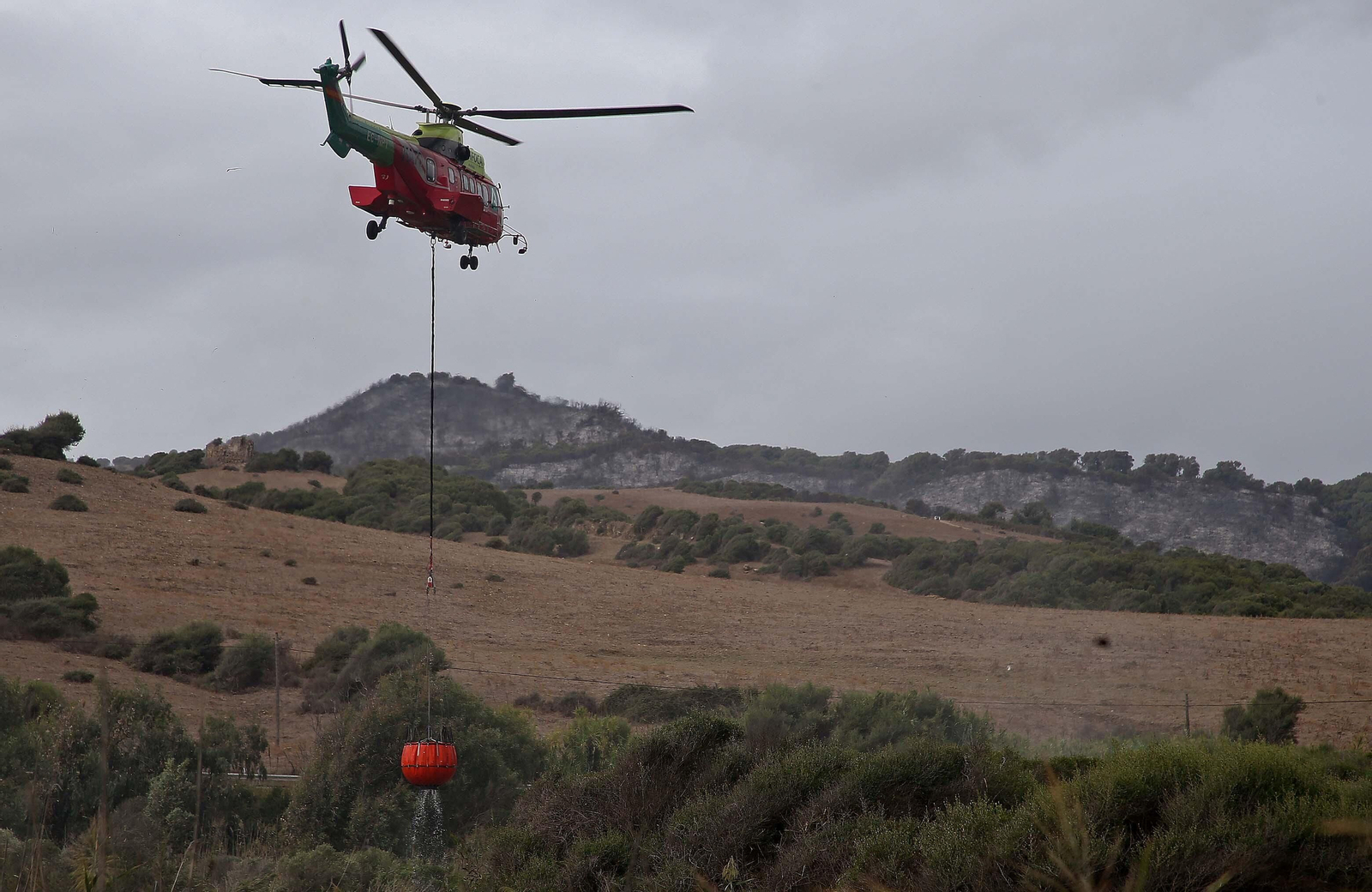 El incendio forestal  de Algeciras, en imágenes