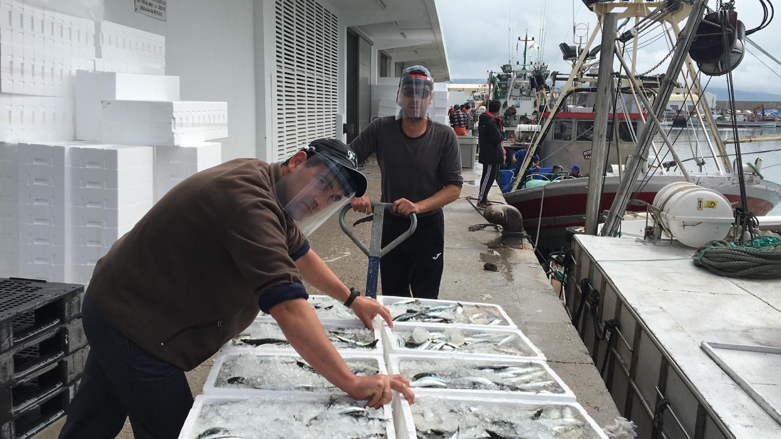 Imagen de archivo de una de las descargas en el puerto de Barbate.