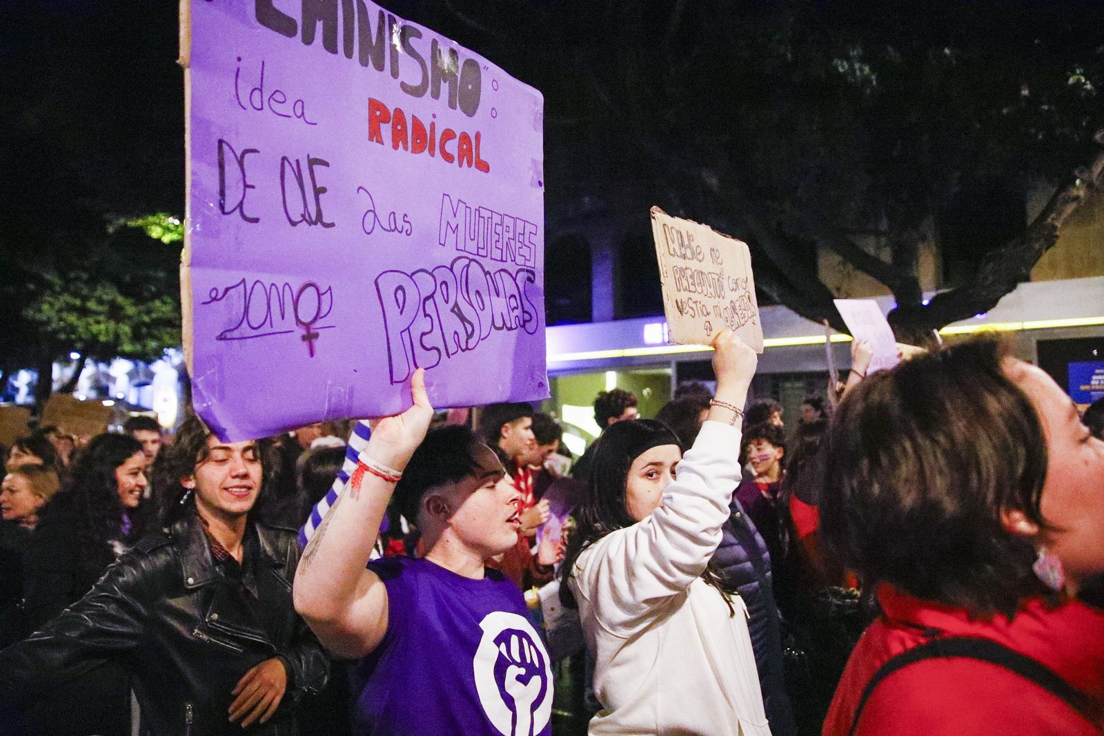 Las imágenes de la manifestación realizada por Asamblea Feminista 8M en Almería