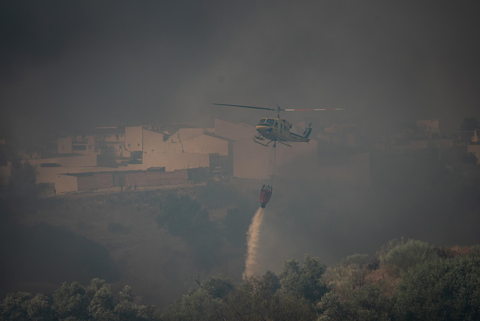 El incendio de Lucena del Puerto en imágenes