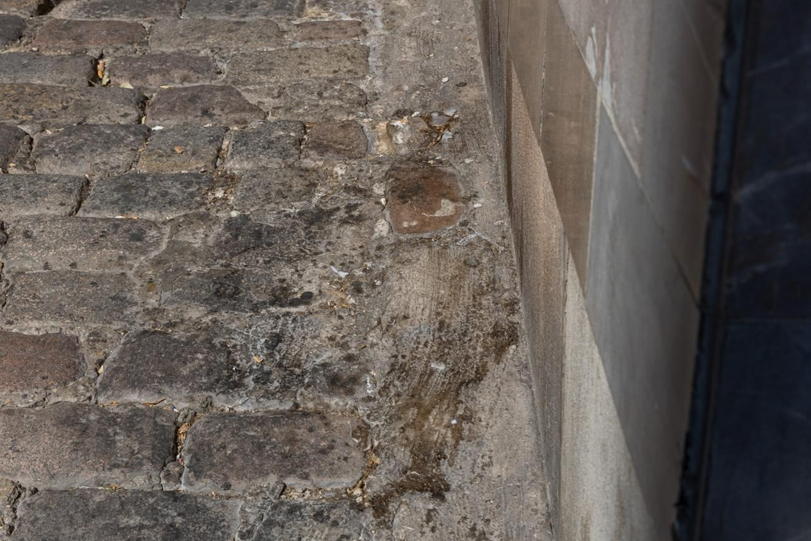 Suciedad y hierbajos toman el entorno de la Catedral de Jaén