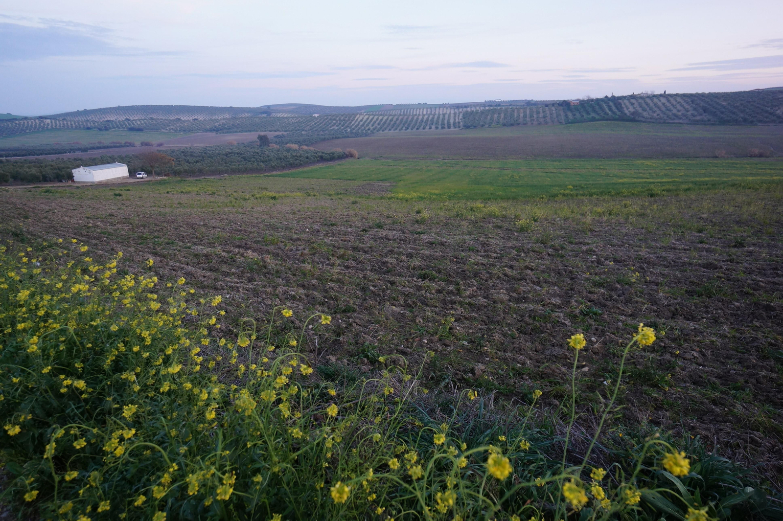 Un recorrido por la Córdoba-3203, la carretera de los terremotos