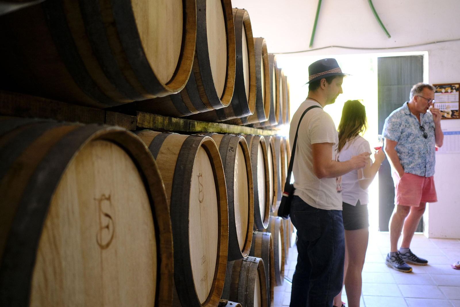 El regreso del turismo extranjero a las bodegas rondeñas, en fotos