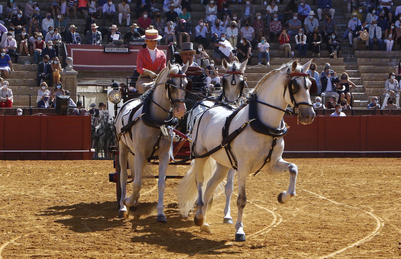 Exhibición de Enganches