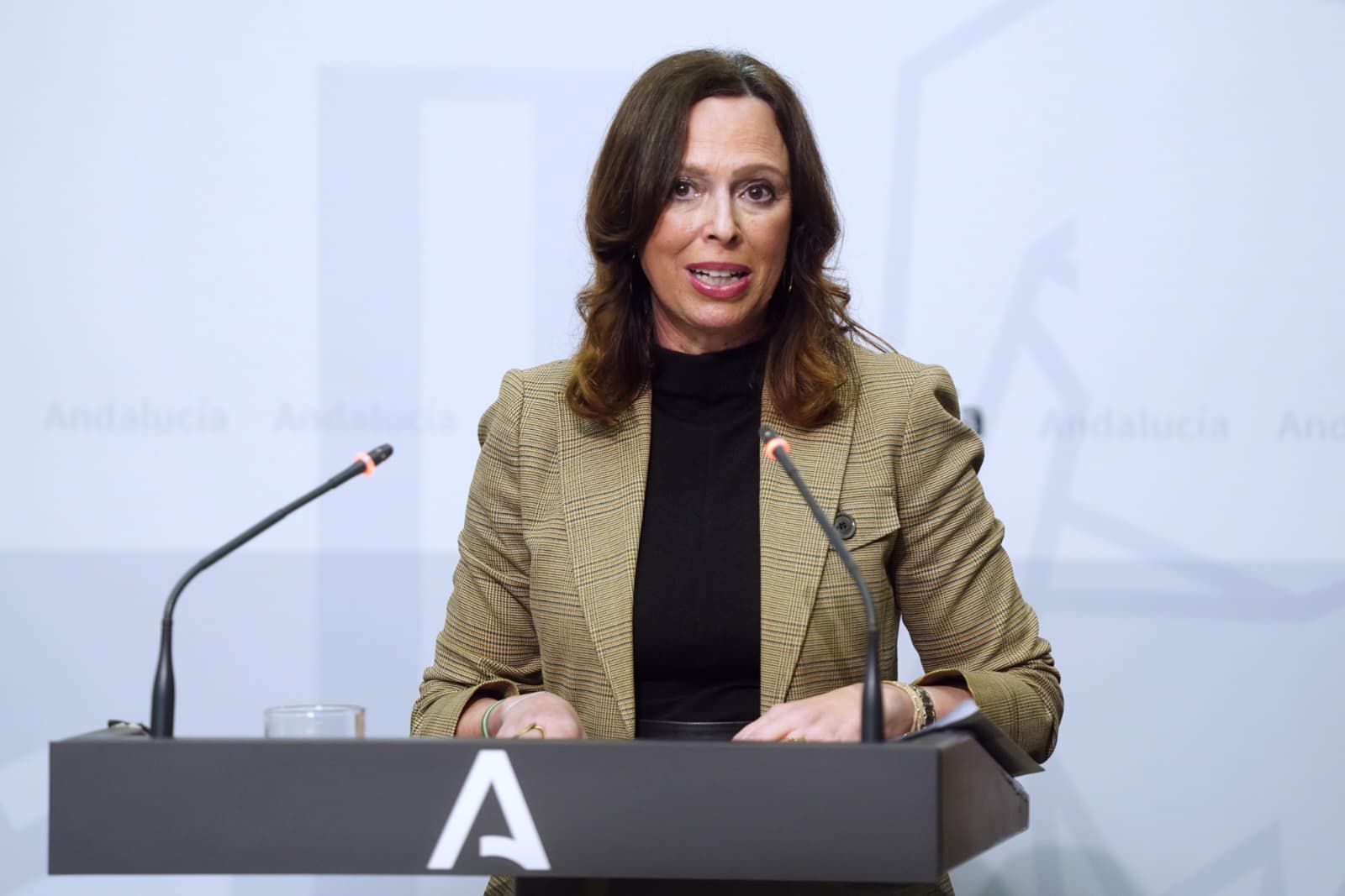 La consejera andaluza Rocío Díaz.