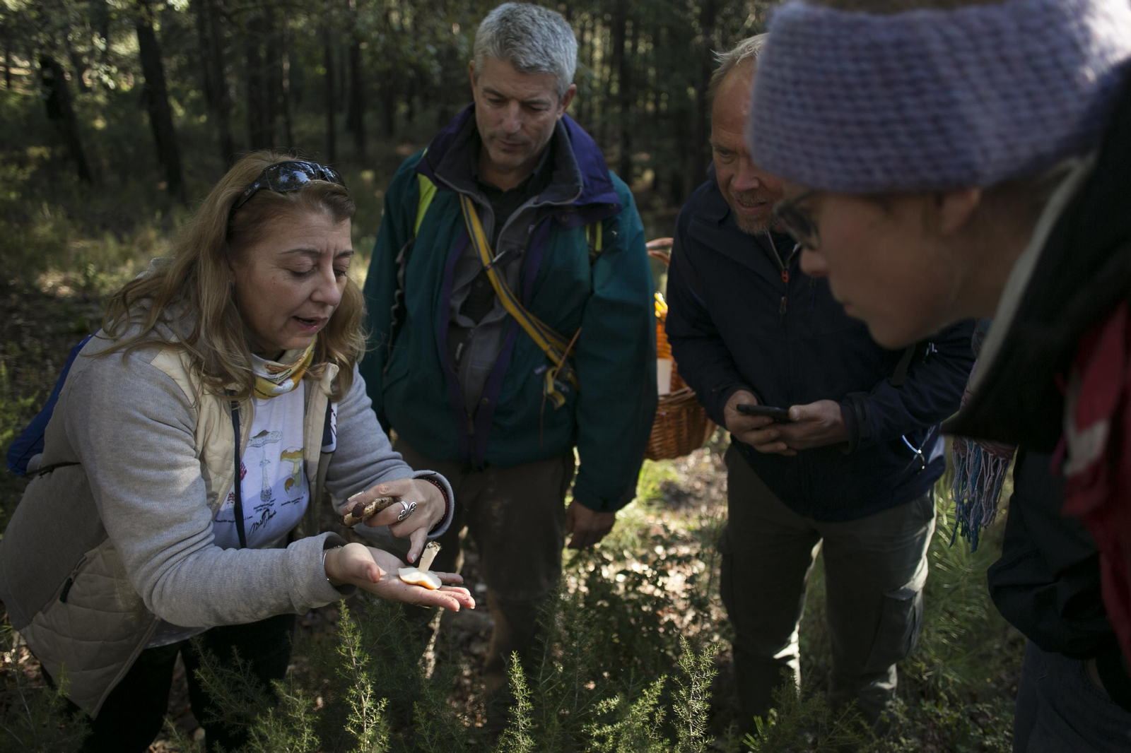 La Serranía de Ronda, joya de la micología