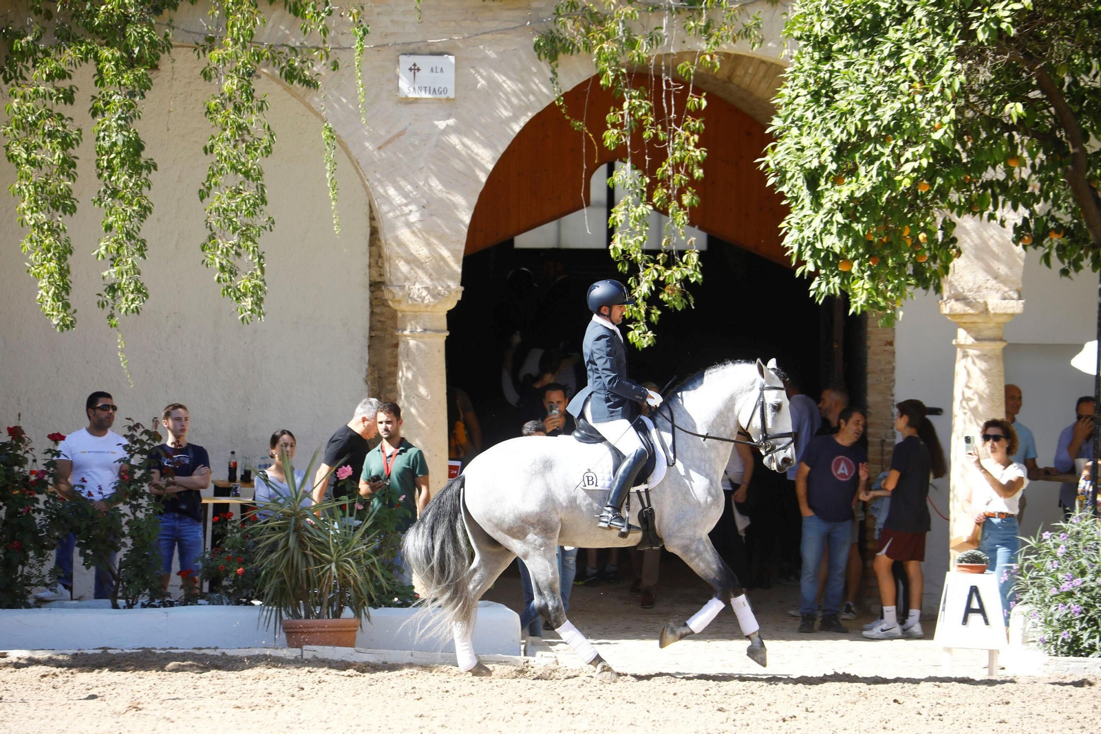 Cabalcor Cabalcor