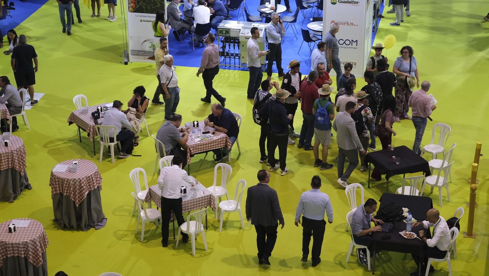 Imágenes de la Infoagro Almería 2023, en su segunda jornada