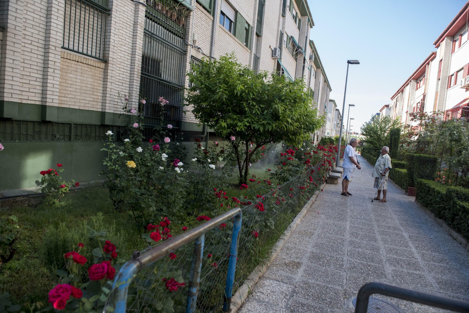 Jardines bien cuidados en el Parque Nueva Granada
