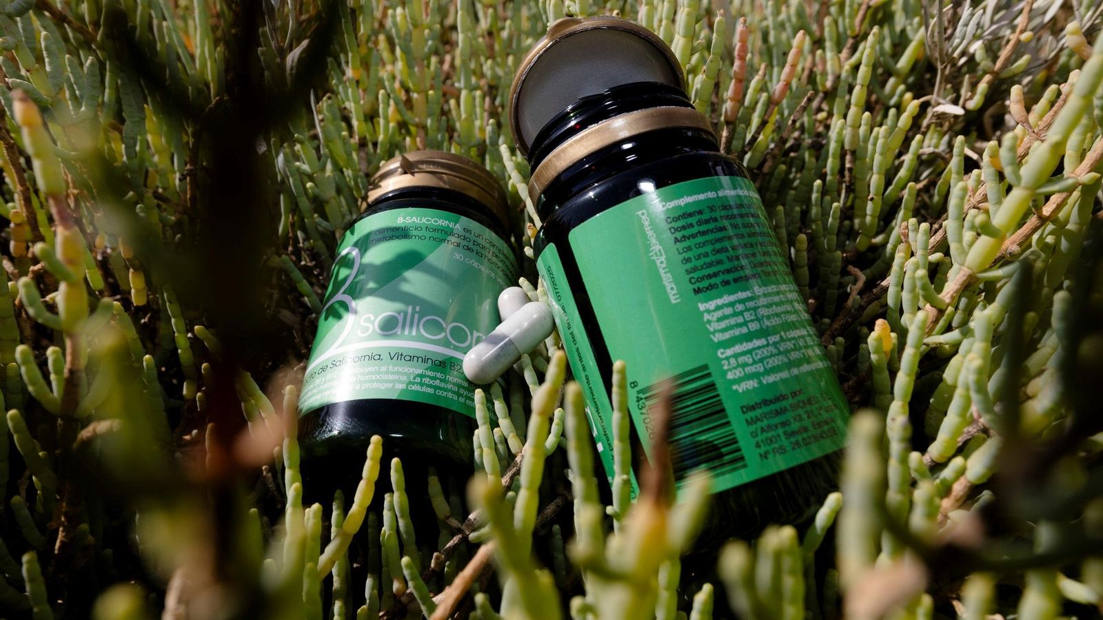 Comprimidos de B-Salicornia.