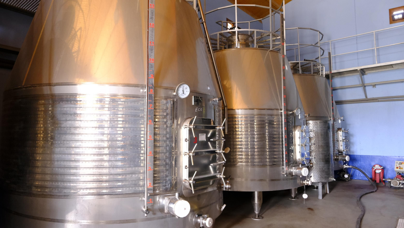 Llega la vendimia a las Bodegas Perfer, en Uleila del Campo