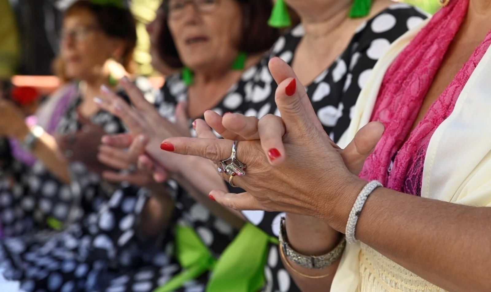 Las mejores imágenes de la salida de la Romería de Santo Domingo en Córdoba Las mejores imágenes de la salida de la Romería de Santo Domingo en Córdoba