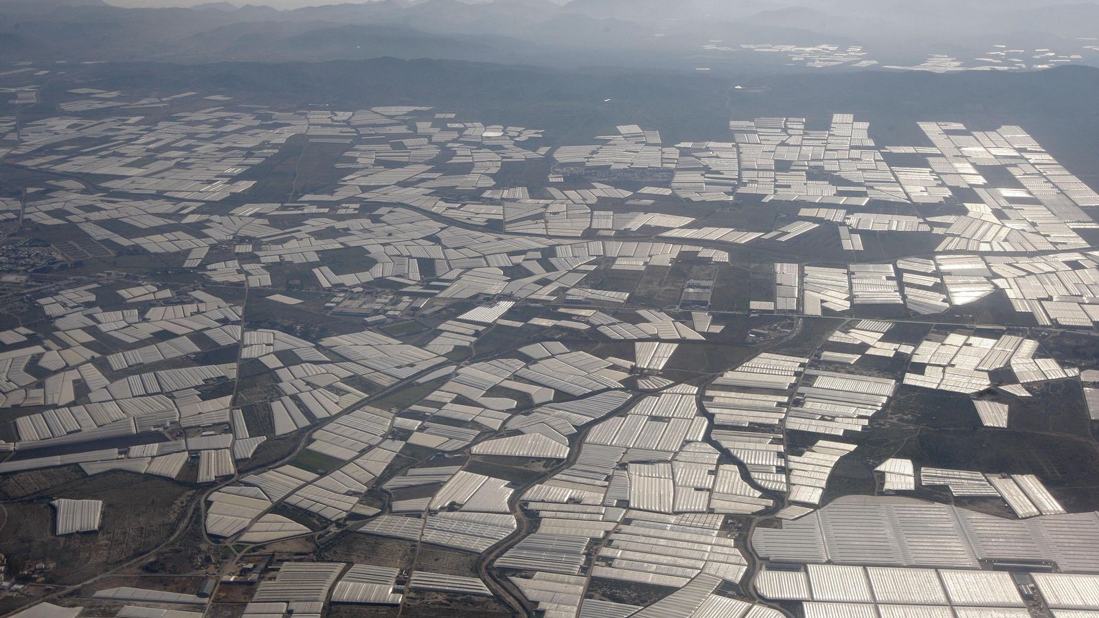Panorámica de la superficie hortícola almeriense en la zona del Poniente.