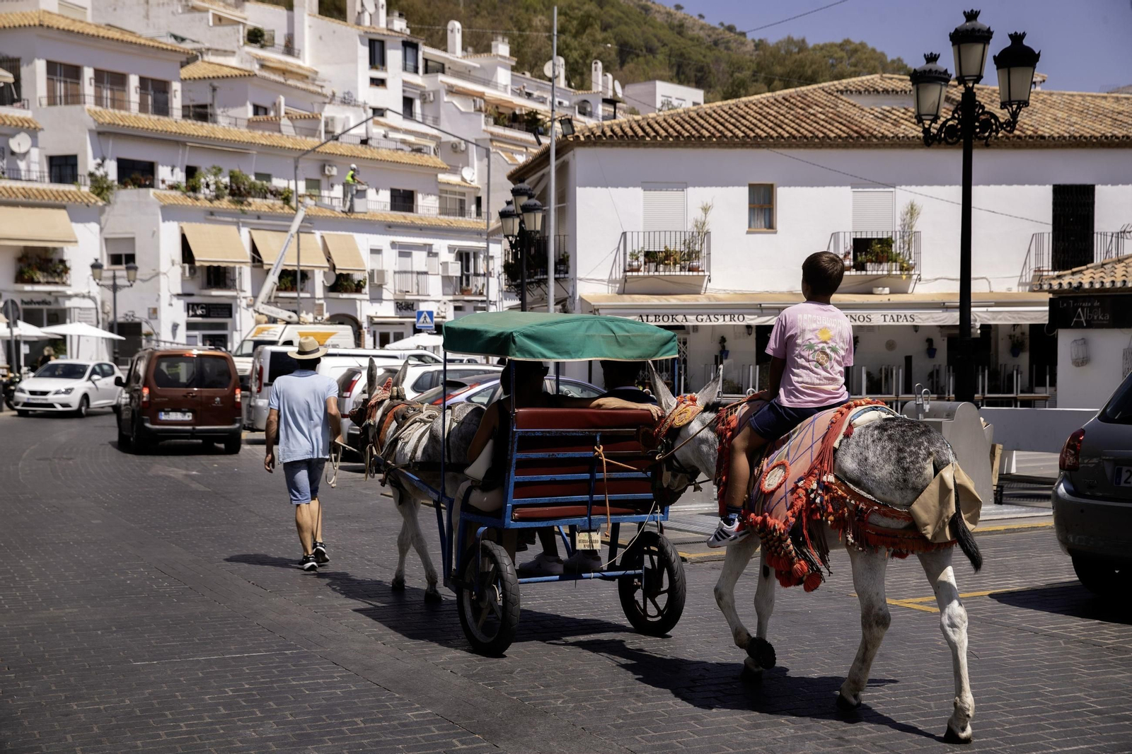 Un arriero con sus burros-taxi.