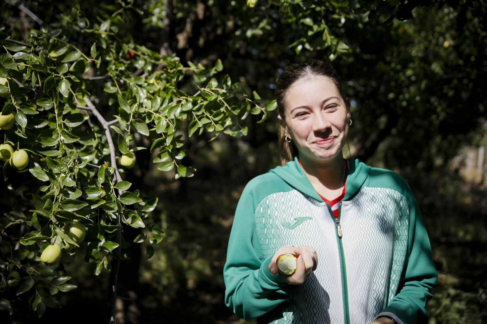 Imágenes del cultivo de azufaifas en Abrucena