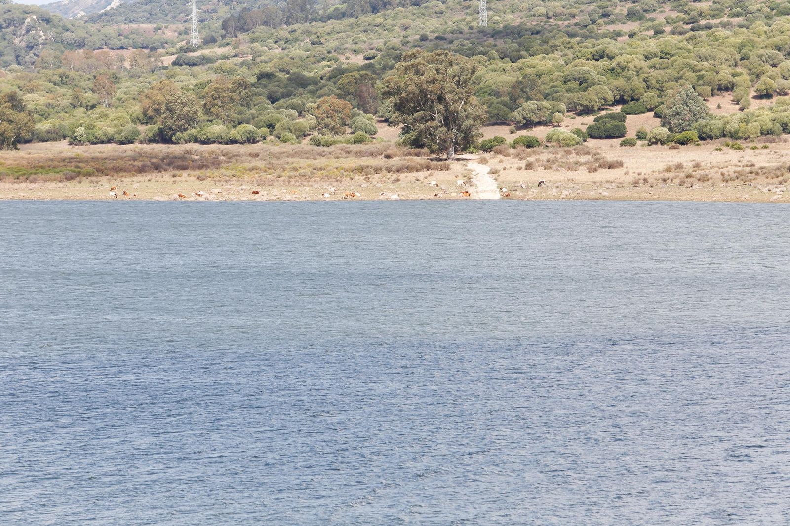 Fotos del pantano de Charco Redondo: de la sequía al 59% de capacidad en solo un año