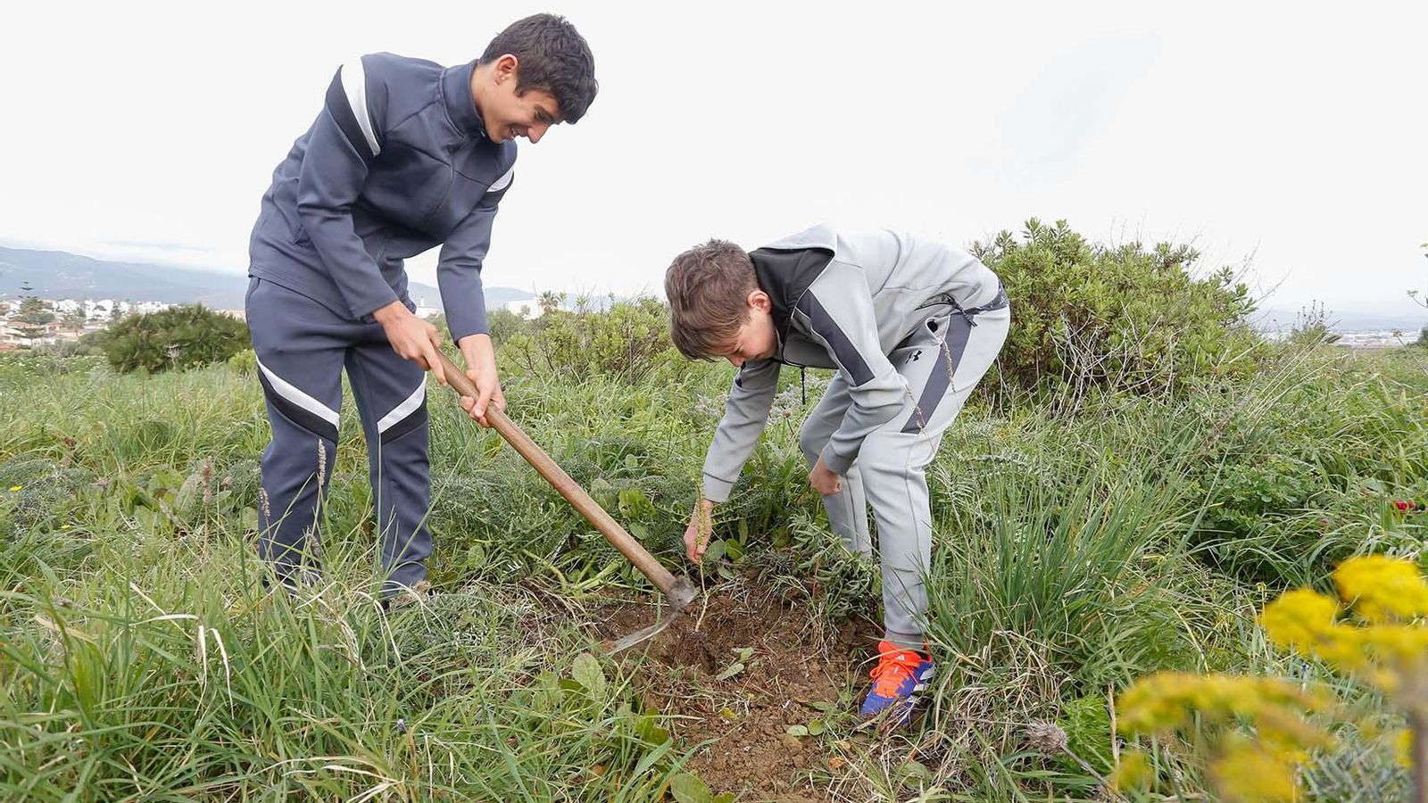 Fotografías de la plantación del programa 'Reverdece' de Acerinox Fotografías de la plantación del programa 'Reverdece' de Acerinox