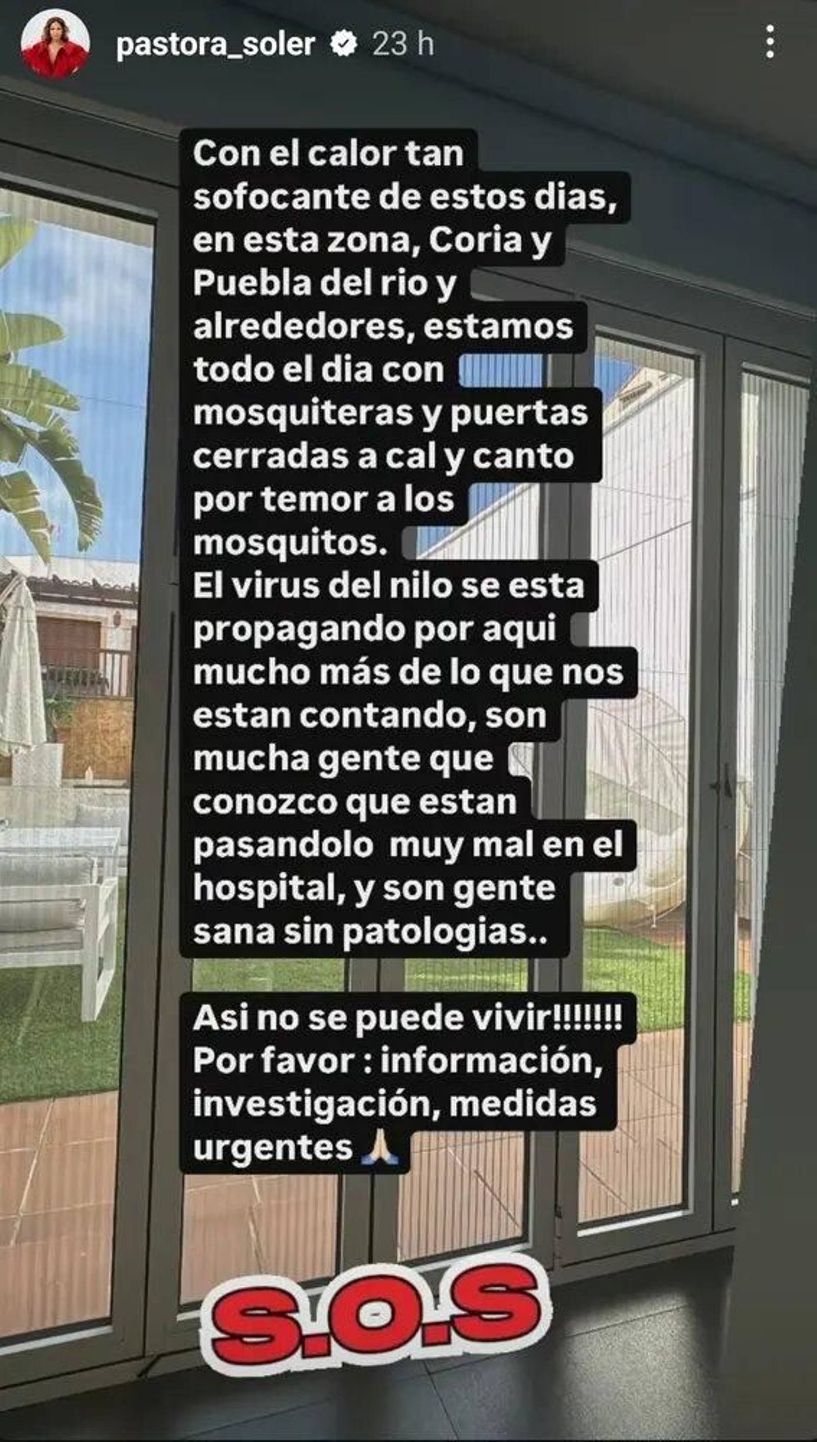 La 'story' de Instagram que ha publicado la artista de Coria del Río. La 'story' de Instagram que ha publicado la artista de Coria del Río.