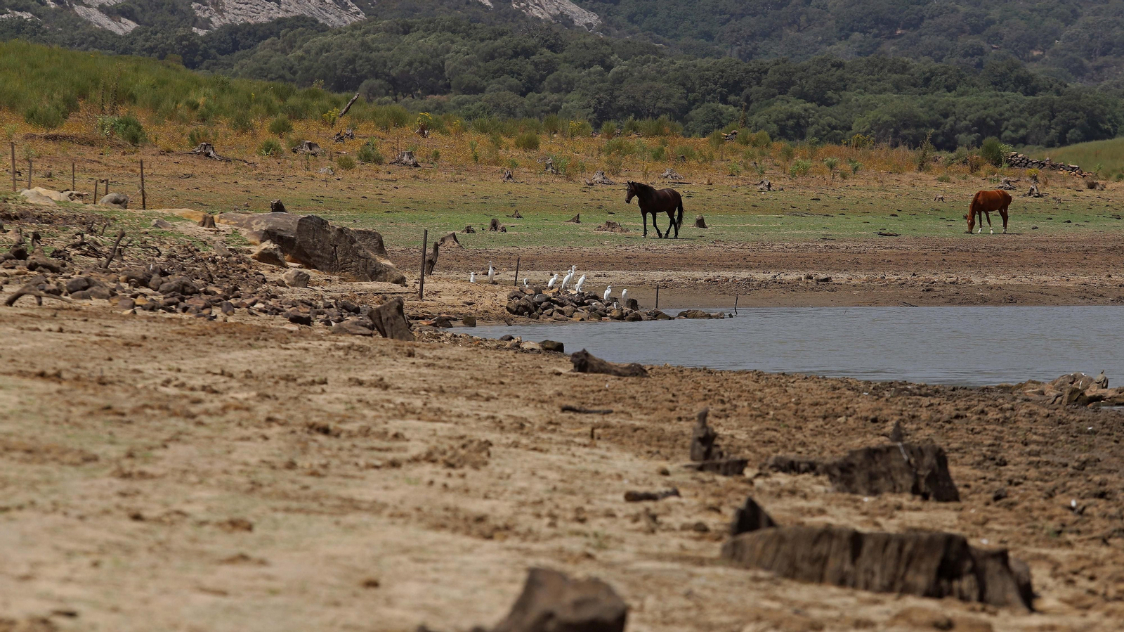Fotos del embalse de Charco Redondo al 31 % de su capacidad Fotos del embalse de Charco Redondo al 31 % de su capacidad