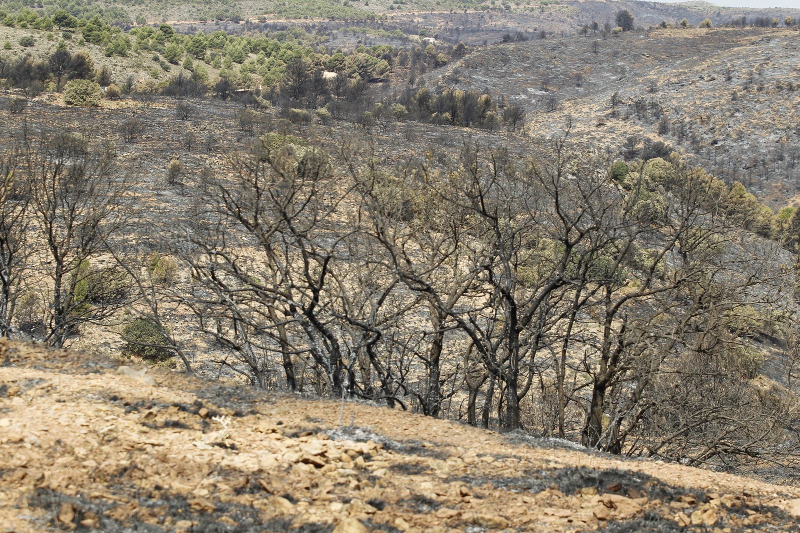 Fotogalería incendio extinguido Sierra de Gádor