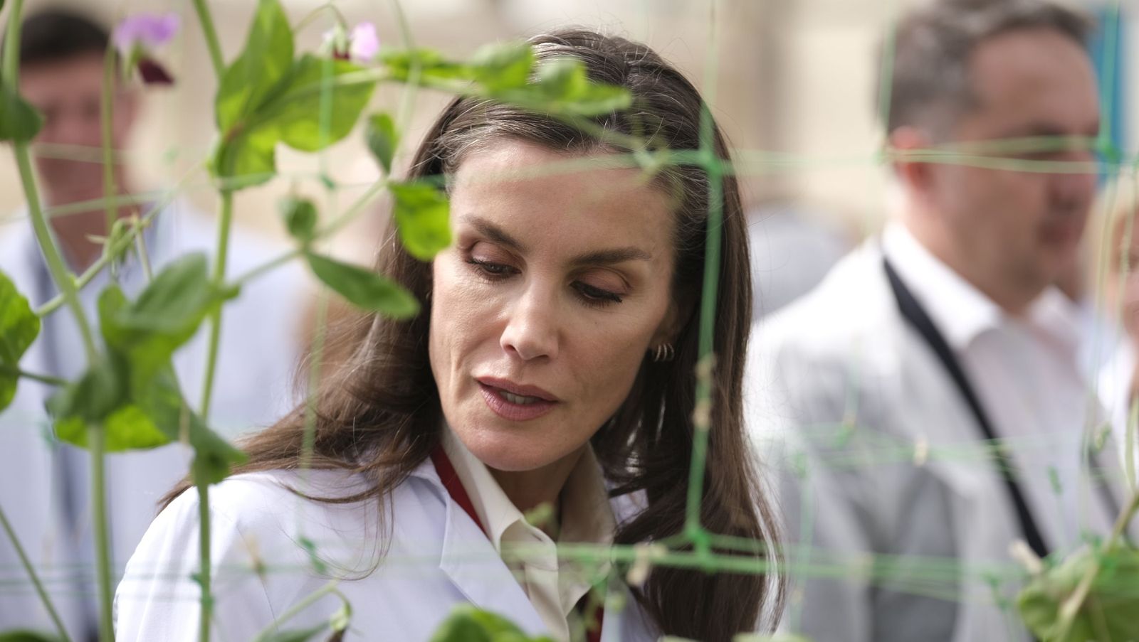 La visita de la reina Letizia a El Ejido, en imágenes