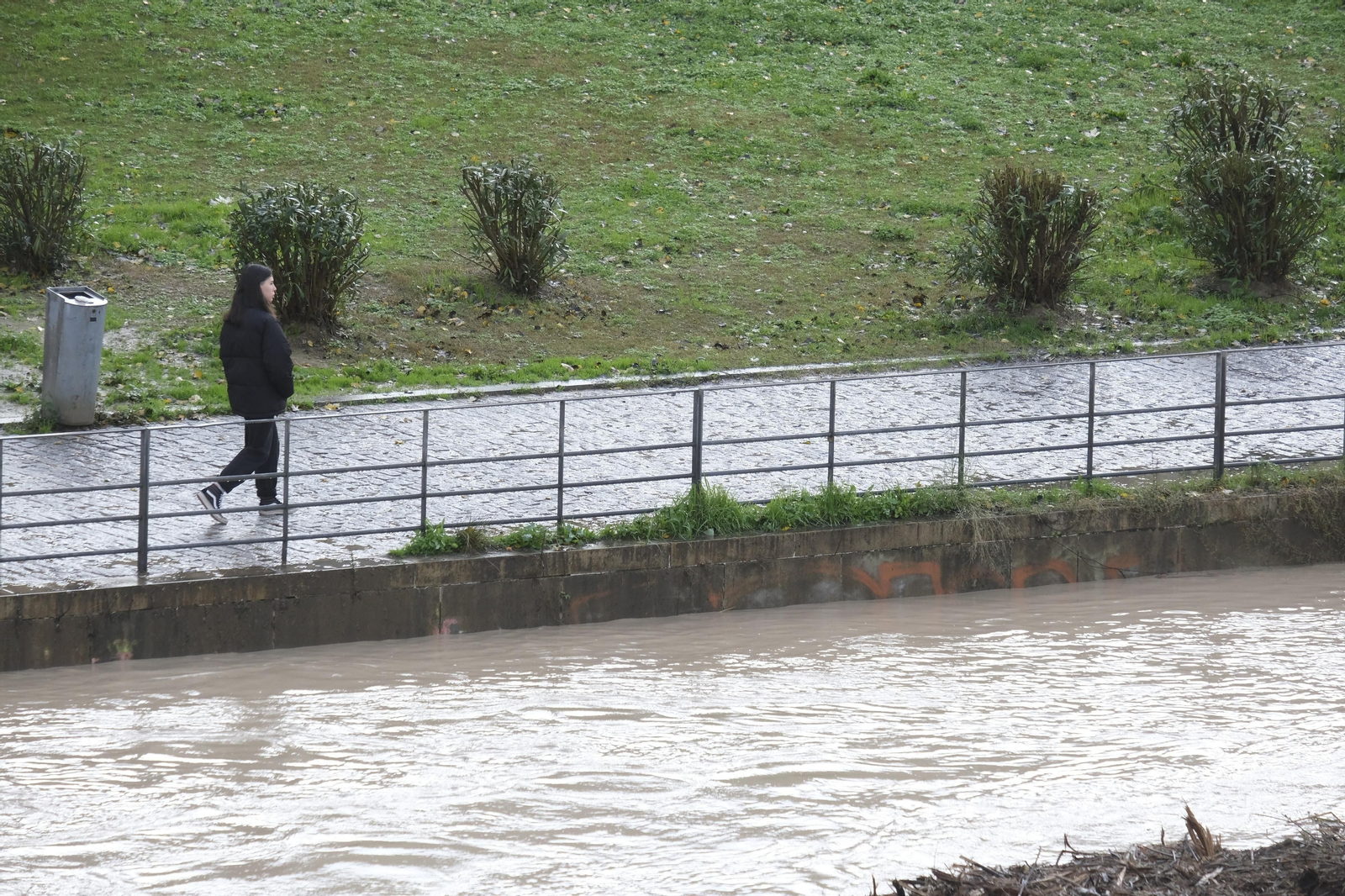 La crecida del río Guadalquivir tras las lluvias en Córdoba, en imágenes