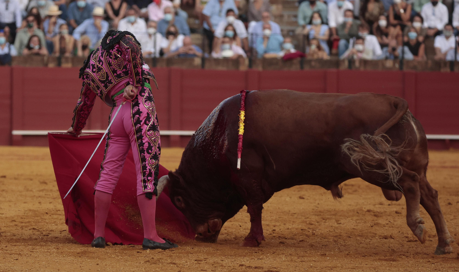 Las imágenes del triunfo de Morante en San Miguel