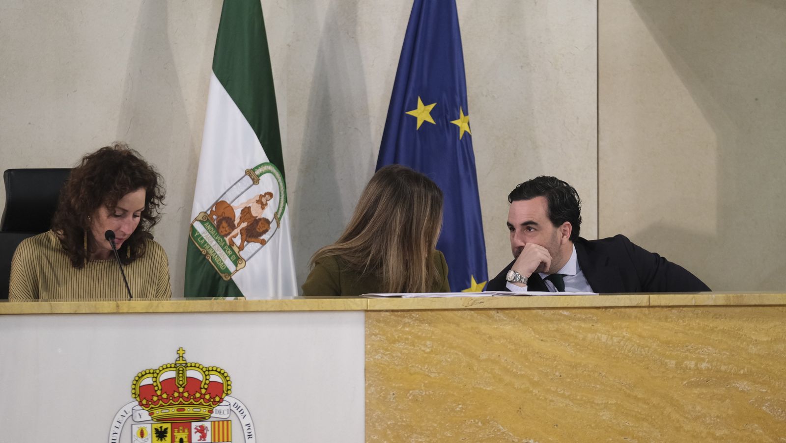 Imágenes del pleno extraordinario del Ayuntamiento de Almería
