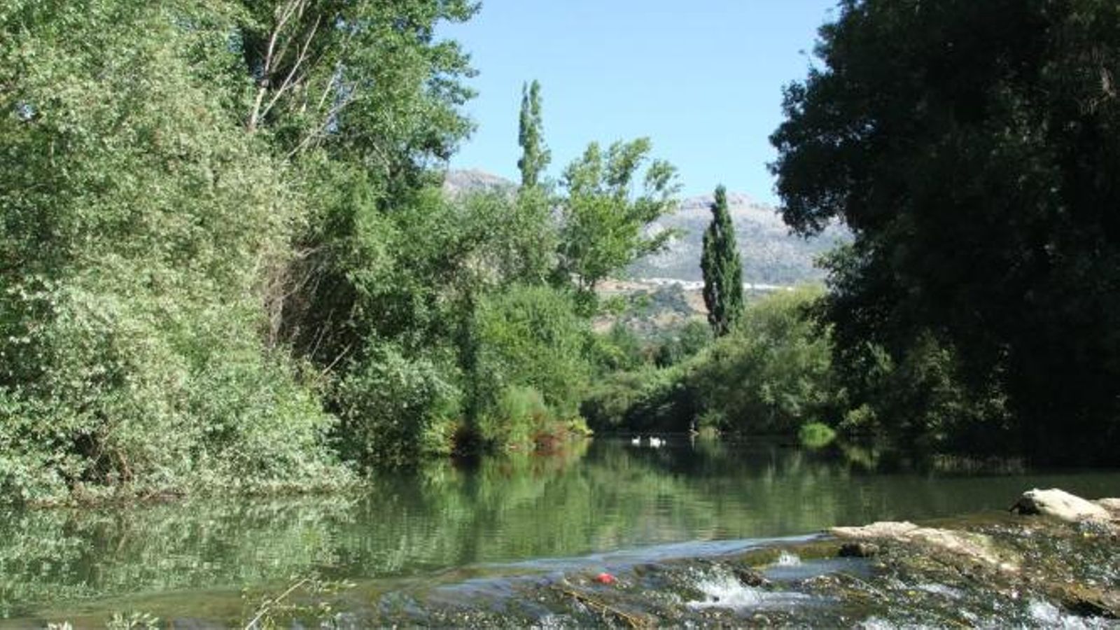 Charca de la Zúa, del río Guadiaro, cerca de Cortes de la Frontera. Charca de la Zúa, del río Guadiaro, cerca de Cortes de la Frontera.