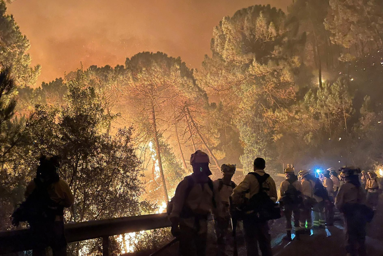 Muere un bombero forestal en el incendio de Sierra Bermeja Muere un bombero forestal en el incendio de Sierra Bermeja