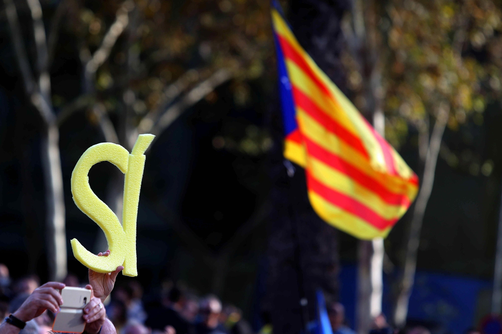 La declaración de la independencia catalana "en suspenso", en imágenes